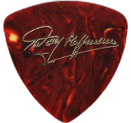 accept Guitar Pick - Púa de Guitarra