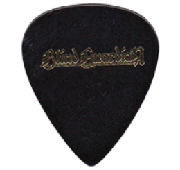 blind guardian Guitar Pick - Púa de Guitarra