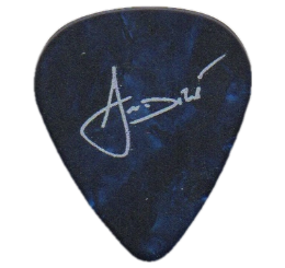 blind guardian Guitar Pick - Púa de Guitarra