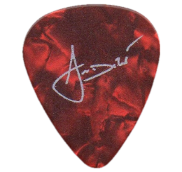 blind guardian Guitar Pick - Púa de Guitarra