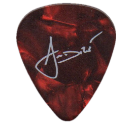 blind guardian Guitar Pick - Púa de Guitarra