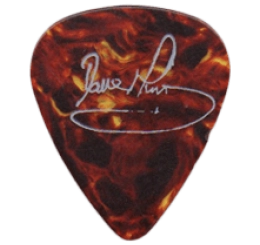 iron maiden Guitar Pick - Púa de Guitarra