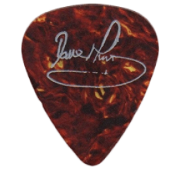 iron maiden Guitar Pick - Púa de Guitarra