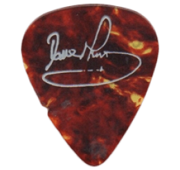 iron maiden Guitar Pick - Púa de Guitarra