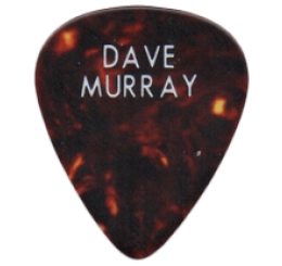iron maiden Guitar Pick - Púa de Guitarra