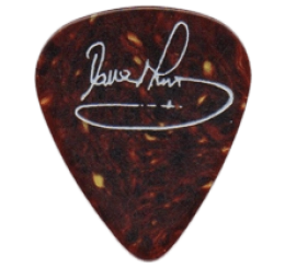 iron maiden Guitar Pick - Púa de Guitarra