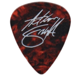 iron maiden Guitar Pick - Púa de Guitarra