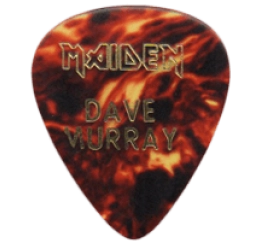 iron maiden Guitar Pick - Púa de Guitarra