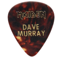 iron maiden Guitar Pick - Púa de Guitarra