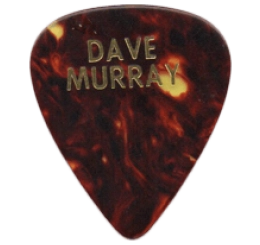 iron maiden Guitar Pick - Púa de Guitarra