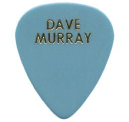 iron maiden Guitar Pick - Púa de Guitarra