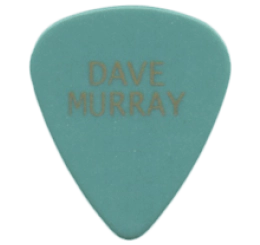 iron maiden Guitar Pick - Púa de Guitarra