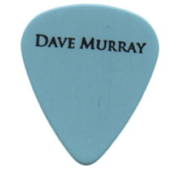 iron maiden Guitar Pick - Púa de Guitarra