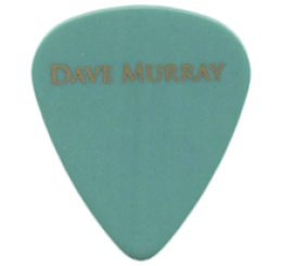 iron maiden Guitar Pick - Púa de Guitarra