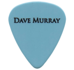 iron maiden Guitar Pick - Púa de Guitarra