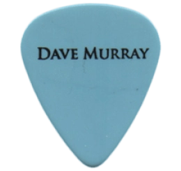 iron maiden Guitar Pick - Púa de Guitarra