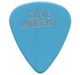iron maiden Guitar Pick - Púa de Guitarra