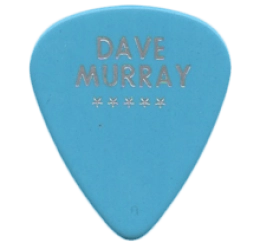 iron maiden Guitar Pick - Púa de Guitarra