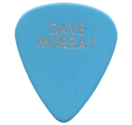 iron maiden Guitar Pick - Púa de Guitarra