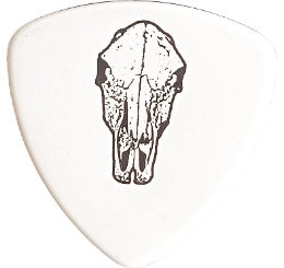 slayer Guitar Pick - Púa de Guitarra